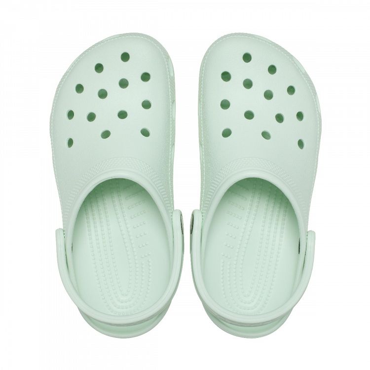 Classic - Mint Tint