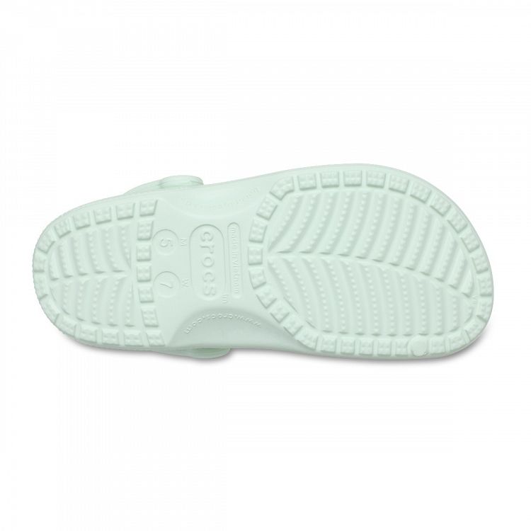 Classic - Mint Tint