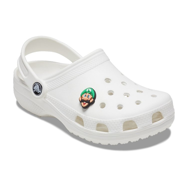 Super Mario Luigi