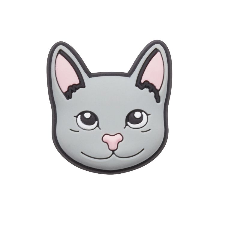 Grey Cat