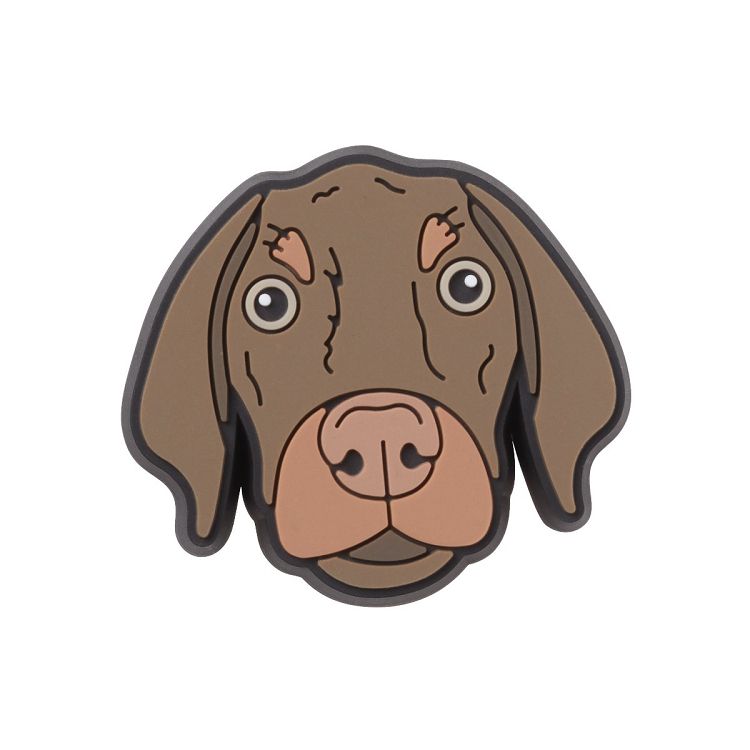 Bronny Dog