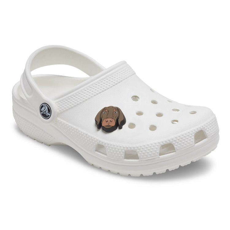 Bronny Dog