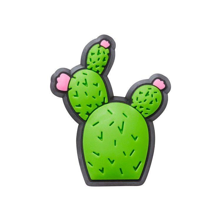 Cactus with Flowers
