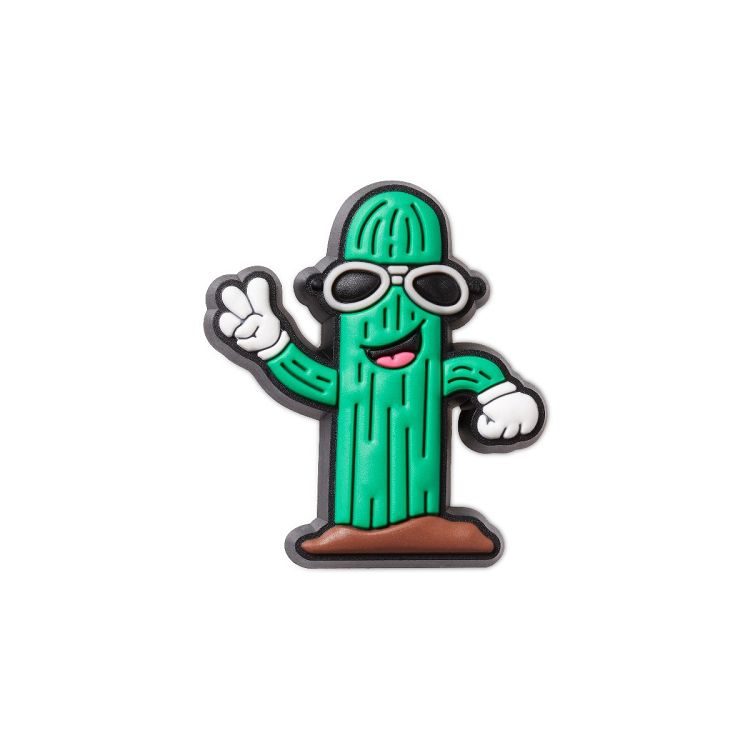 Cactus Dude