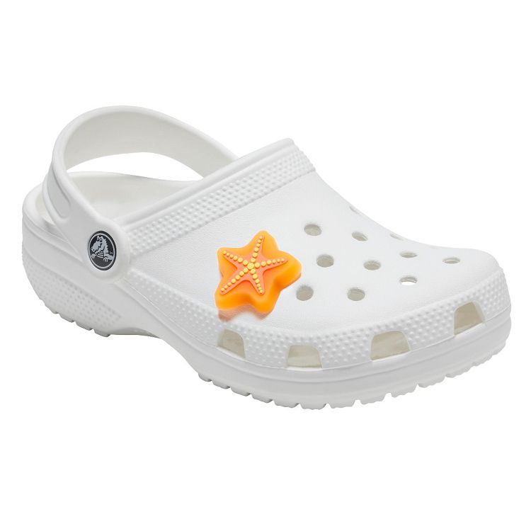 Lights Up Starfish