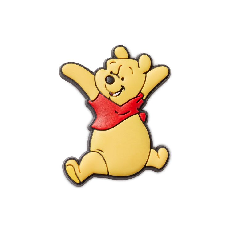 Winnie The Pooh Pooh