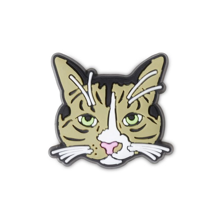 Serious Kitty
