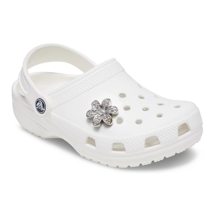 Silver Mnchrm Daisy 1