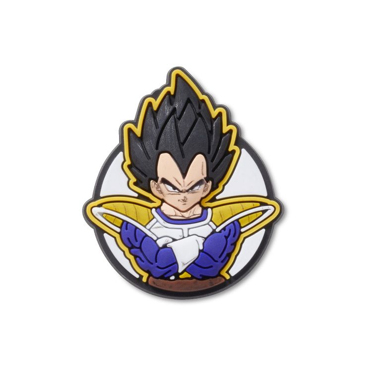 Dragon Ball Z Vegeta