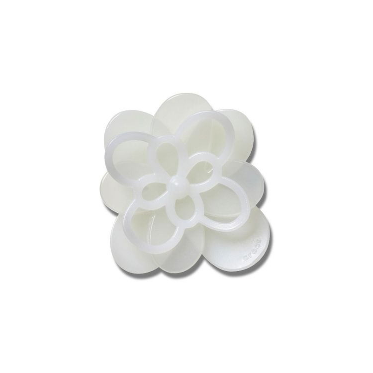 Blooming White Flower 1