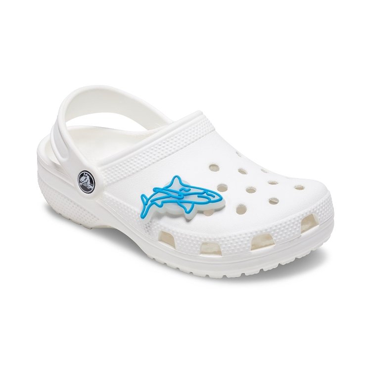 Lights Up Shark