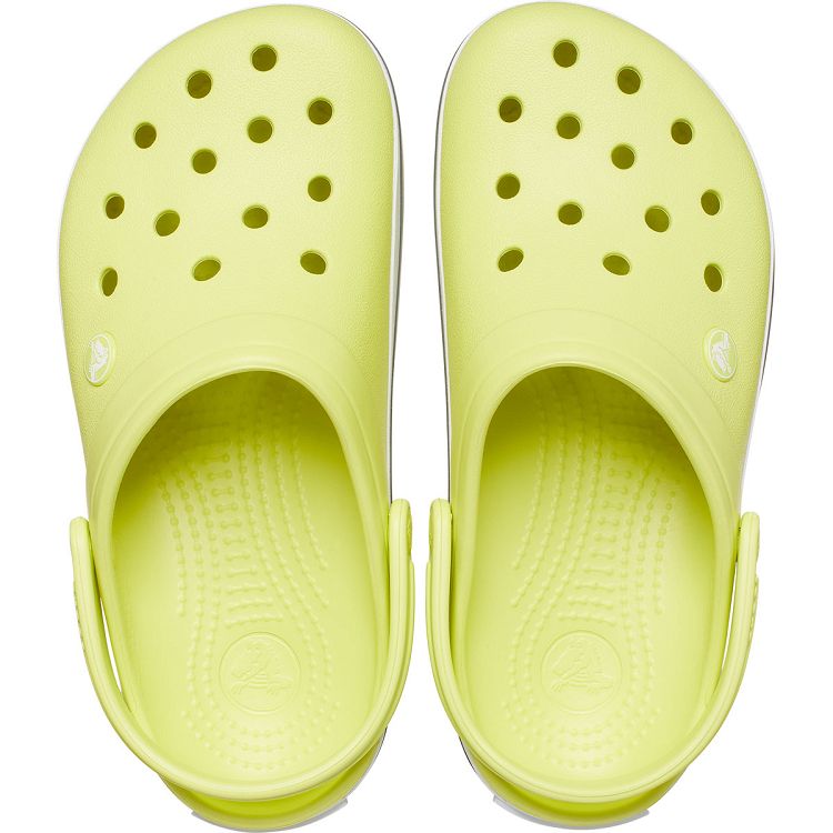 Crocband - Citrus