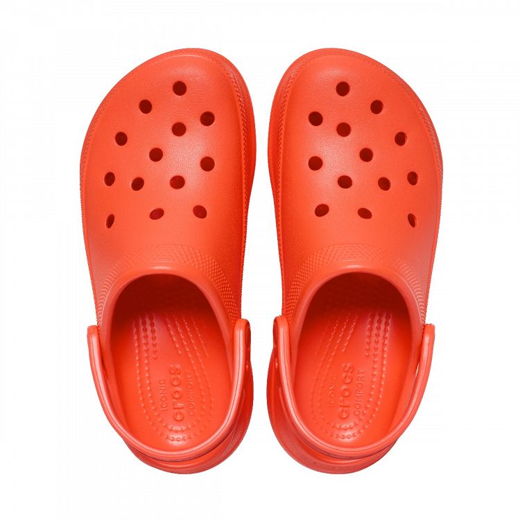 Bae Clog - Starfish