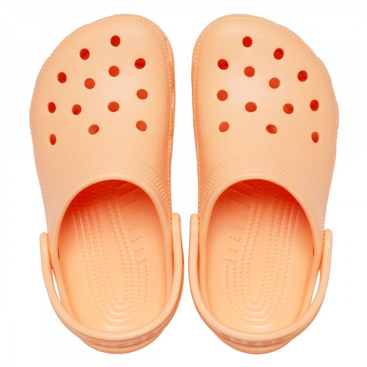 Classic Clog T - Electric Sunstone