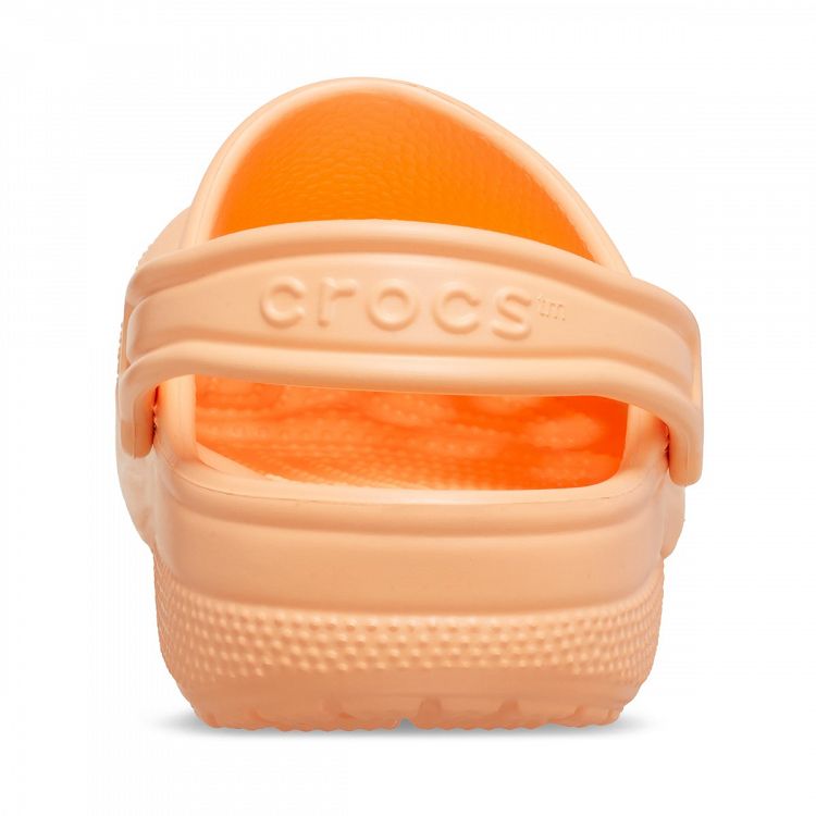 Classic Clog T - Electric Sunstone