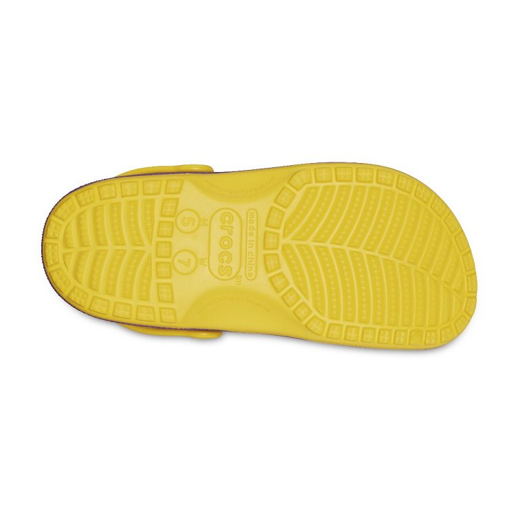 NBA Los Angeles Lakers Cls Clg - Sunflower