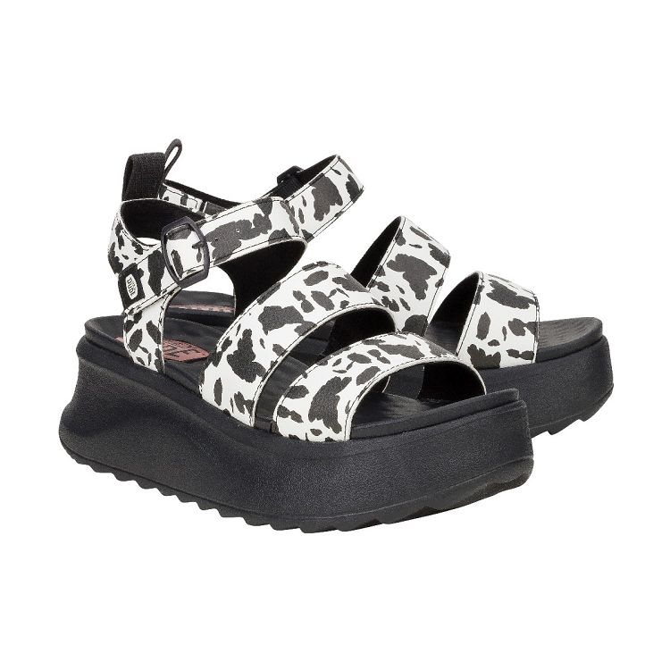 Delray Buckle Animal - Black/White