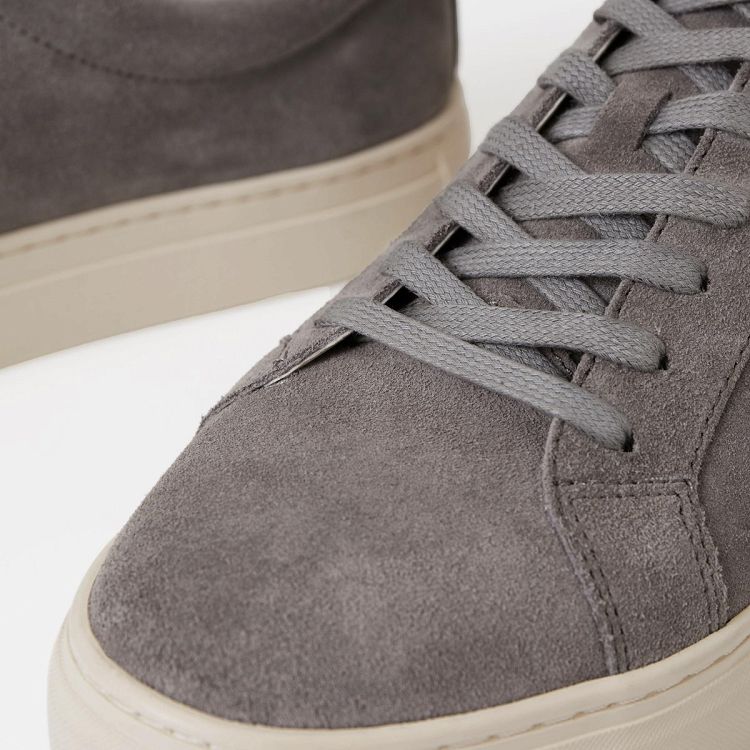 PAUL 2.0 - dk chalk