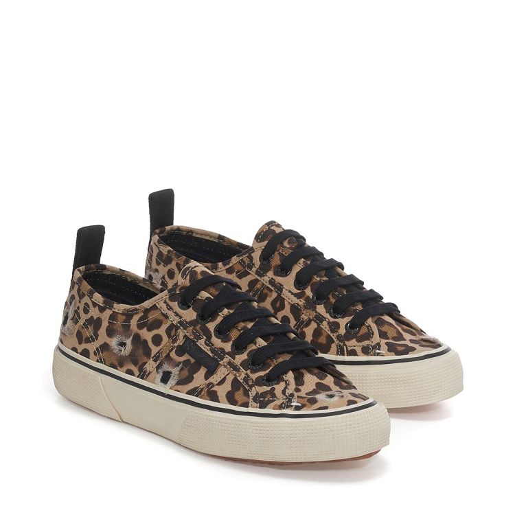 2490 BOLD RIPPED LEOPARD - Classic Leopard-Black