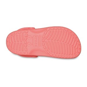 Classic - Guava