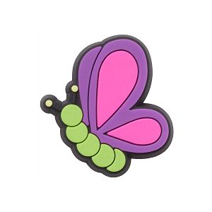 Colorful Butterfly
