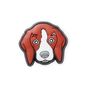Beagle Dog