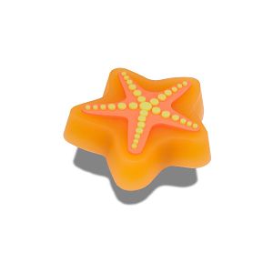 Lights Up Starfish