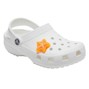 Lights Up Starfish