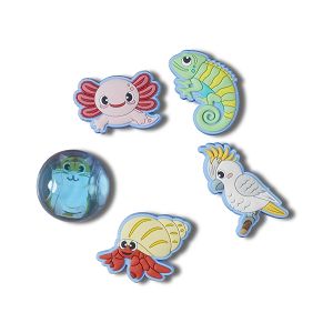 Little Critters Petshop 5 Pack