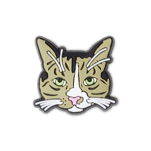 Serious Kitty