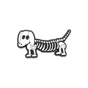 Halloween Skeleton Dog