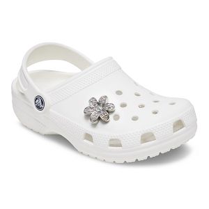 Silver Mnchrm Daisy 1