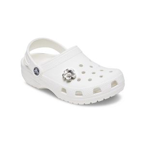 Silver Mnchrm Daisy 2