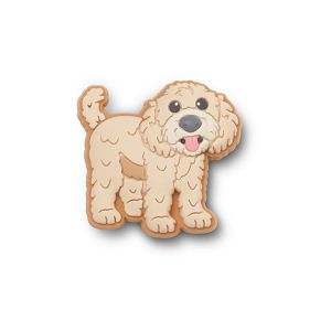 Golden Doodle Puppy