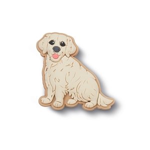 Golden Retriever Puppy