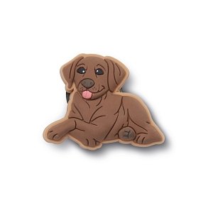 Brown Lab Puppy