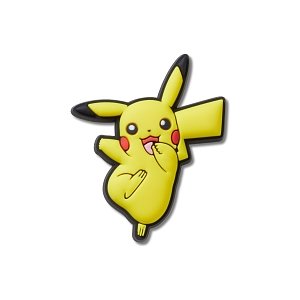 Pokemon Pikachu Happy