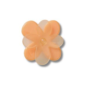 Blooming Orange Flower