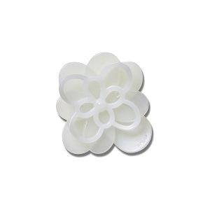 Blooming White Flower 1