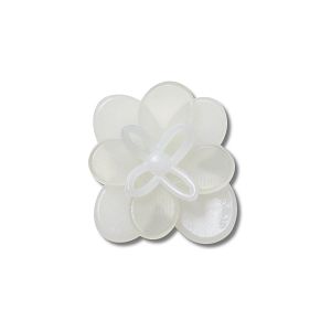 Blooming White Flower 2