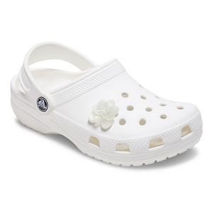 Blooming White Flower 2