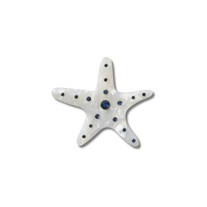 Silver Starfish