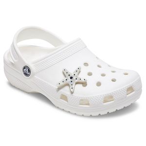 Silver Starfish