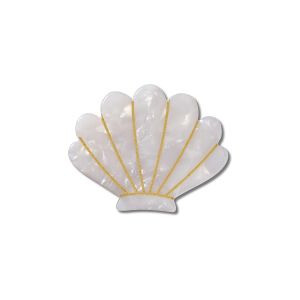 White and Gold Seashell