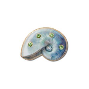 Light Swirl Shell