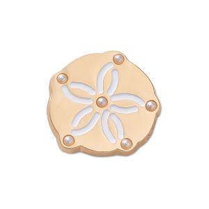 Gold Sand Dollar