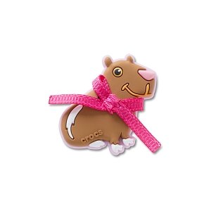 Coquette Capybara