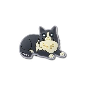 Black Cat With Boots