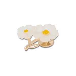 White Floral Blossom