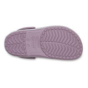 Crocband - Dusty Lilac